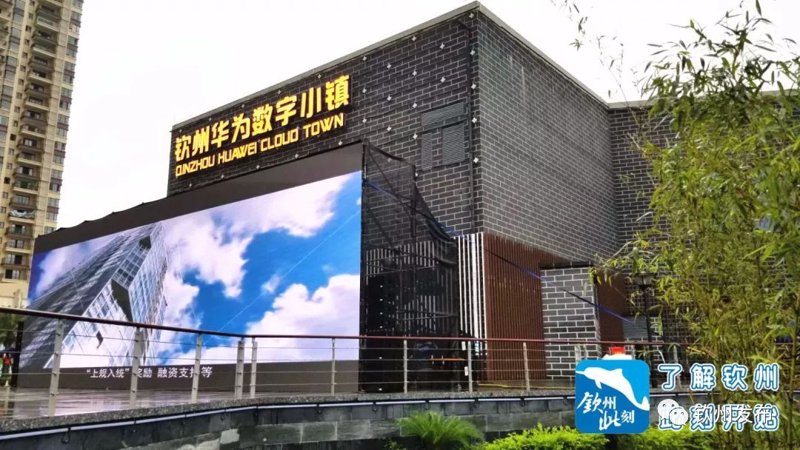 企业网站定制引领品牌新风尚